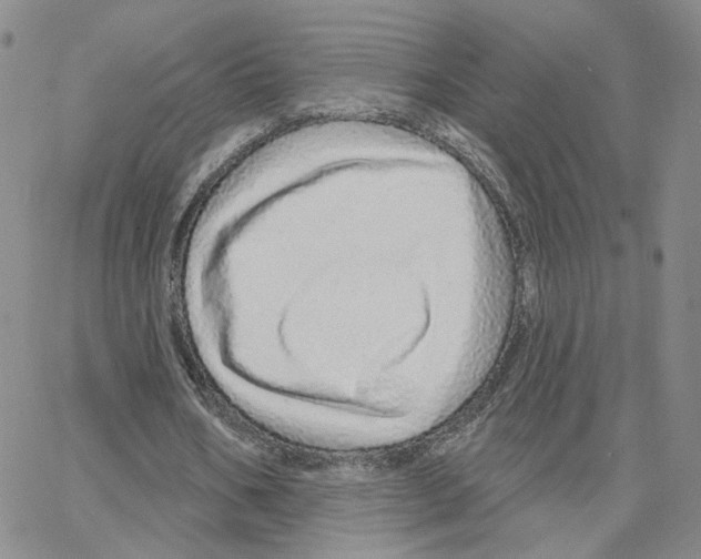 X0000064760578200603131411