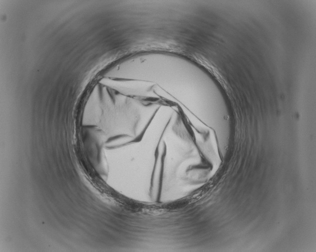X0000064760582200603131411
