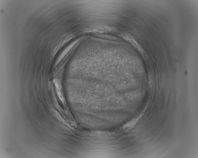 X0000064760585200603131411