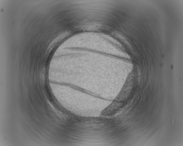 X0000064760586200603131411