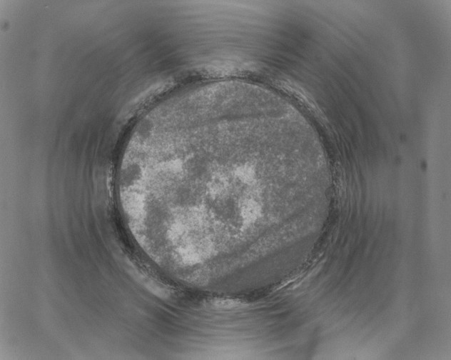 X0000064760590200603131410