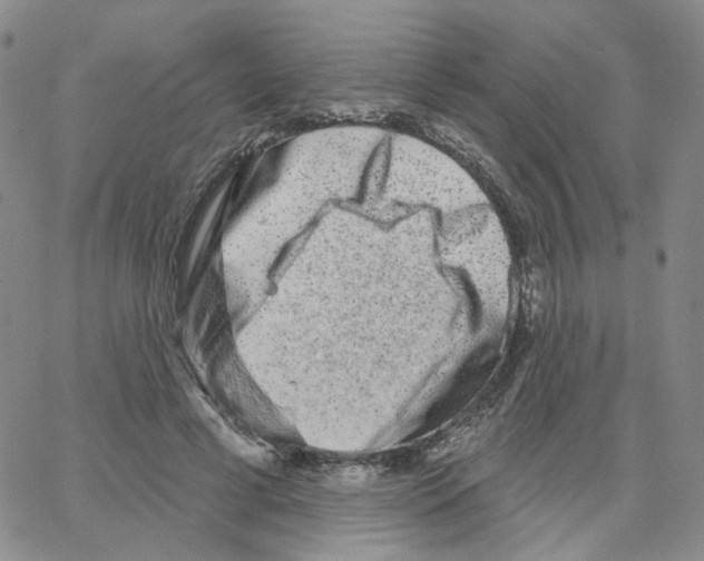 X0000064760593200603131410