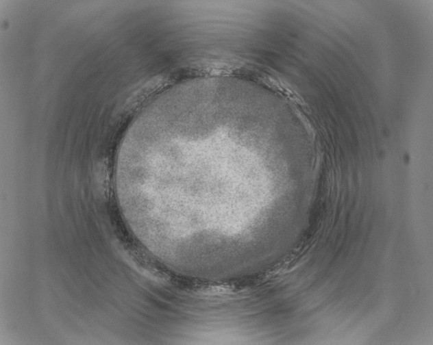 X0000064760594200603131410