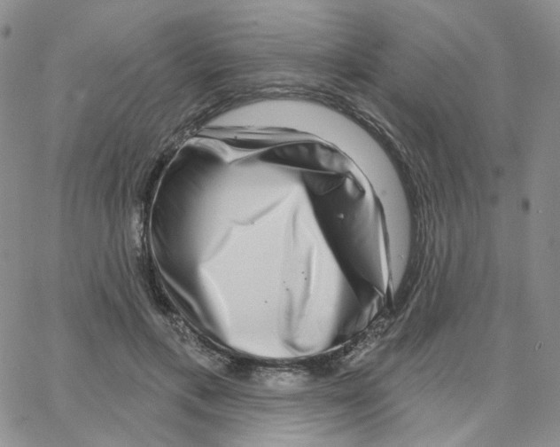 X0000064760597200603131410