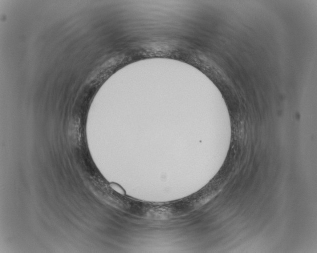 X0000064760599200603131410