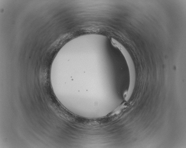 X0000064760600200603131410