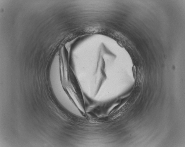 X0000064760601200603131410