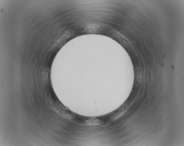 X0000064760603200603131410