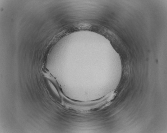 X0000064760604200603131410