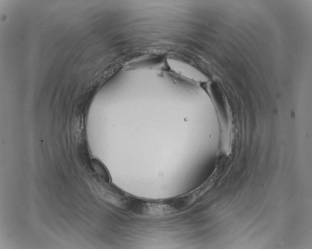 X0000064760605200603131410