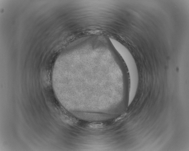 X0000064760606200603131410