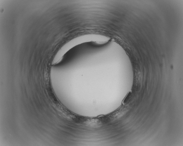 X0000064760609200603131410