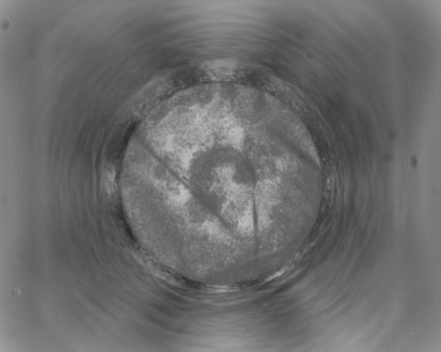 X0000064760610200603131410