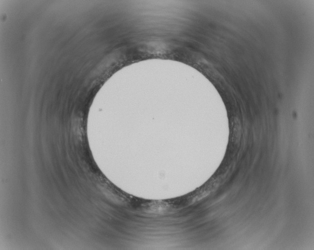 X0000064760612200603131410