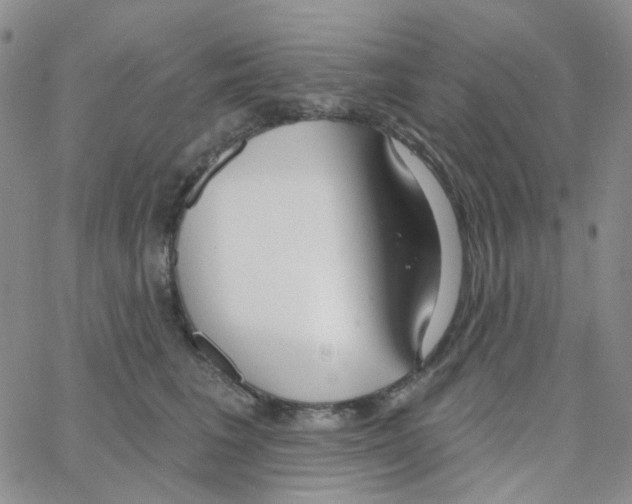 X0000064760613200603131410