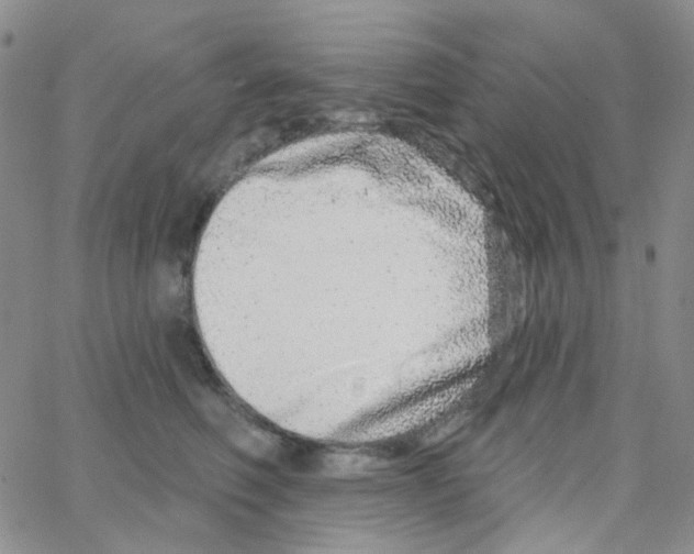 X0000064760614200603131410