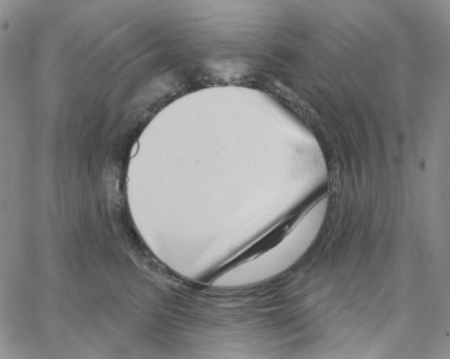 X0000064760615200603131410