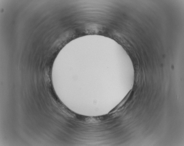 X0000064760616200603131410