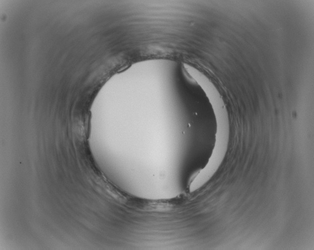 X0000064760617200603131410