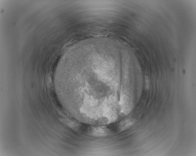 X0000064760618200603131410