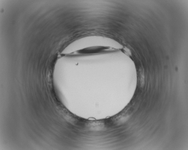 X0000064760619200603131410