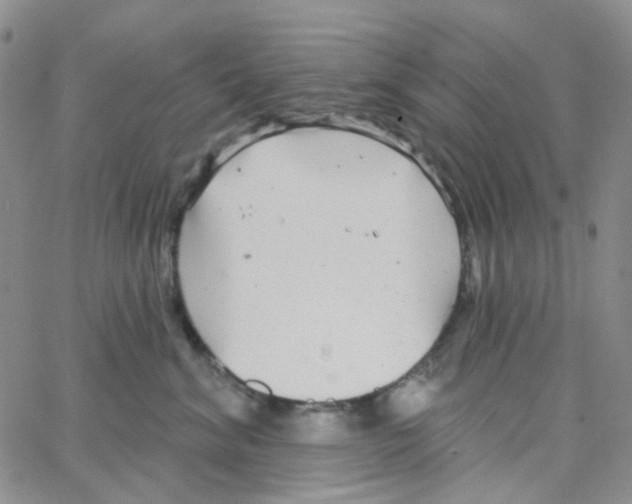 X0000064760620200603131410