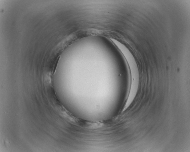 X0000064760621200603131410