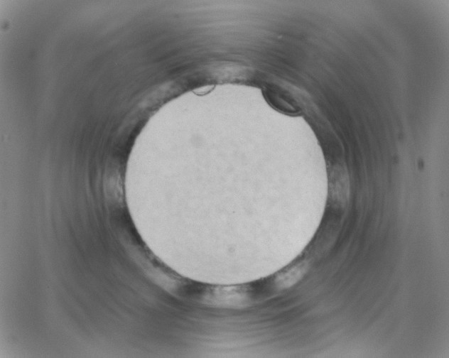 X0000064760622200603131410