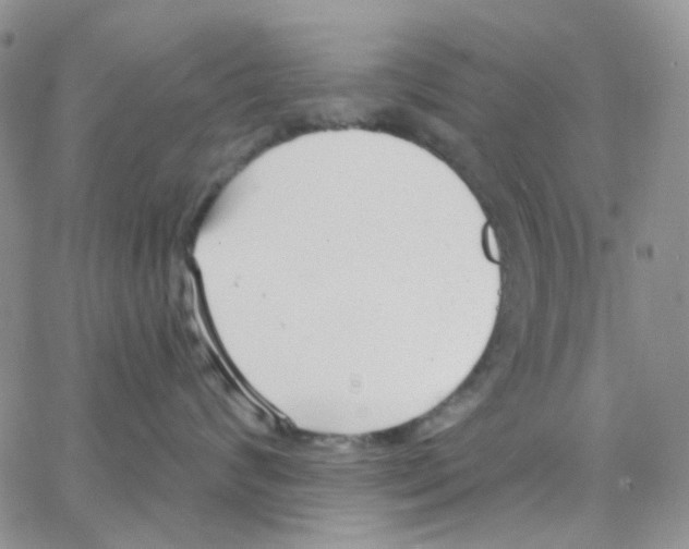 X0000064760624200603131410