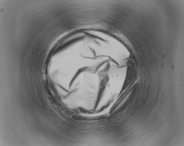 X0000064760628200603131409