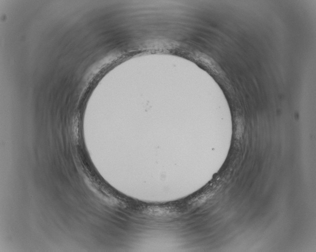 X0000064760632200603131409
