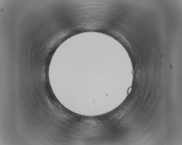 X0000064760635200603131409