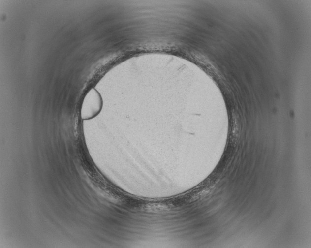 X0000064760636200603131409