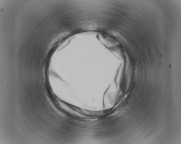 X0000064760638200603131409