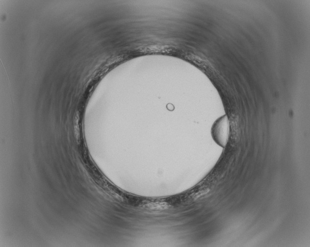 X0000064760642200603131409