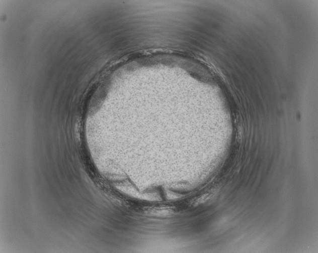 X0000064760643200603131409