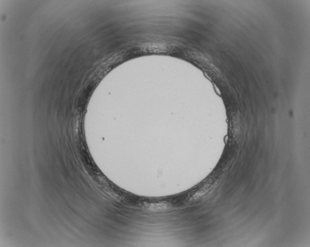 X0000064760645200603131409