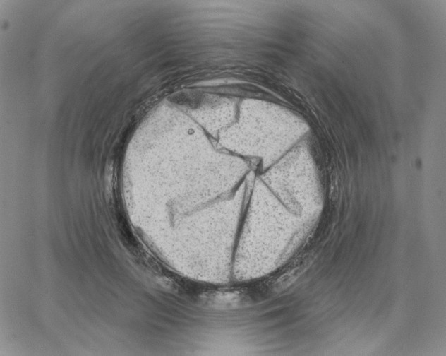 X0000064760647200603131410