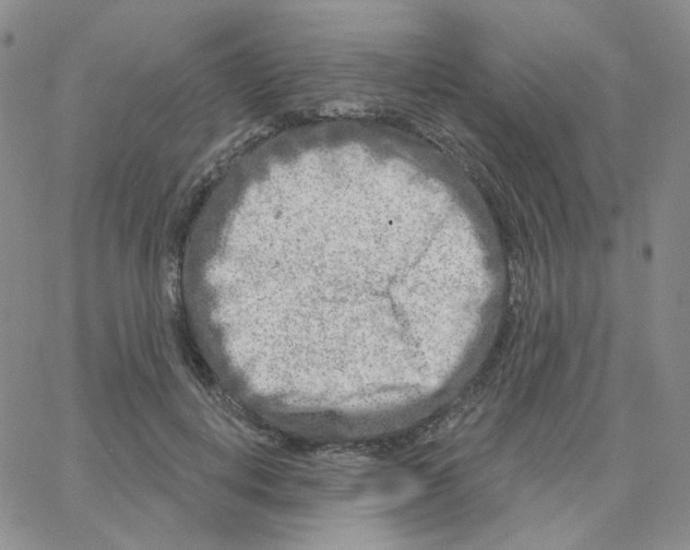 X0000064760648200603131410