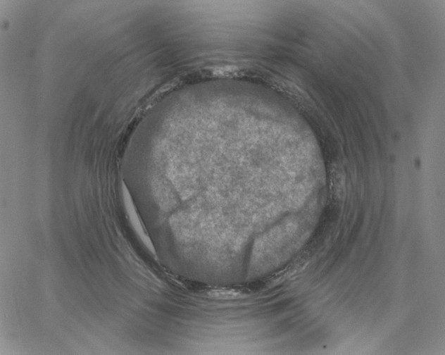 X0000064760650200603131410