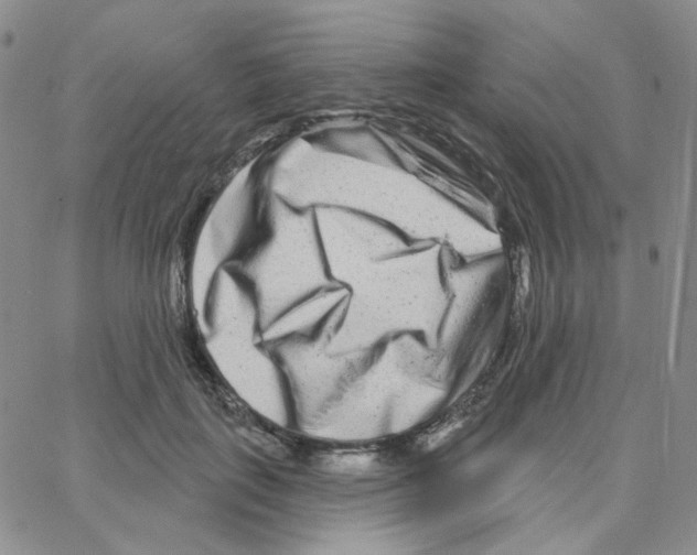 X0000064760651200603131410