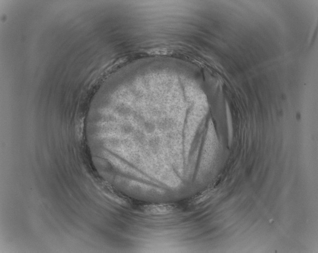 X0000064760652200603131410