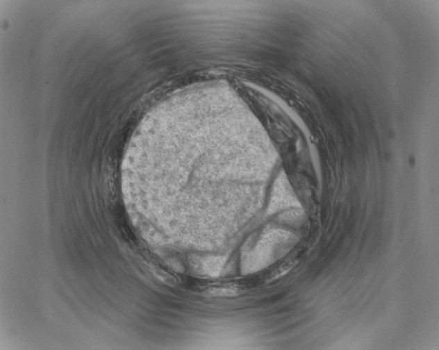 X0000064760653200603131410