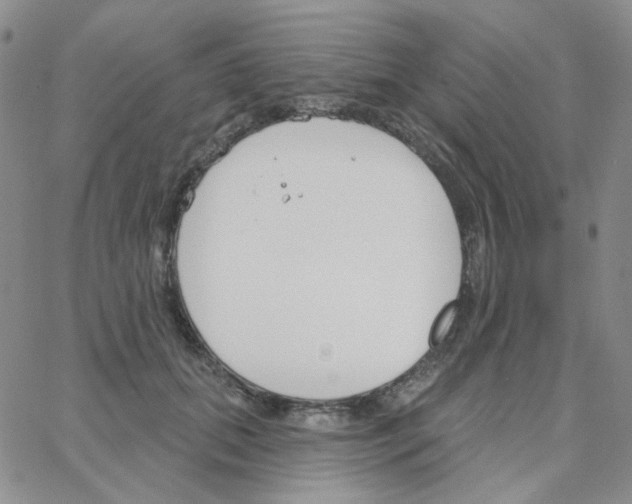 X0000064760655200603131410