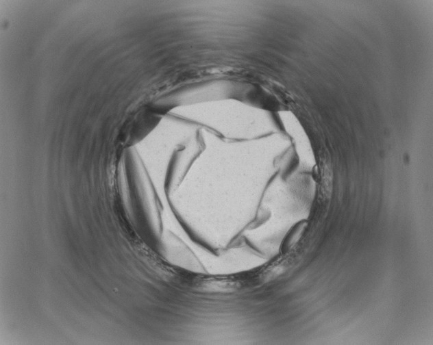 X0000064760657200603131410
