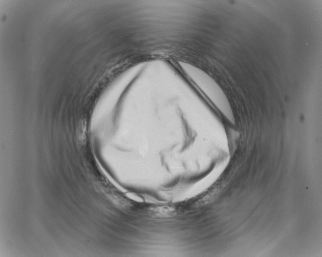 X0000064760660200603131410