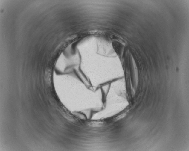X0000064760664200603131410