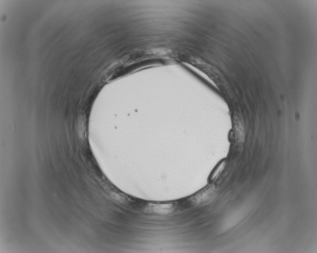 X0000064760665200603131410