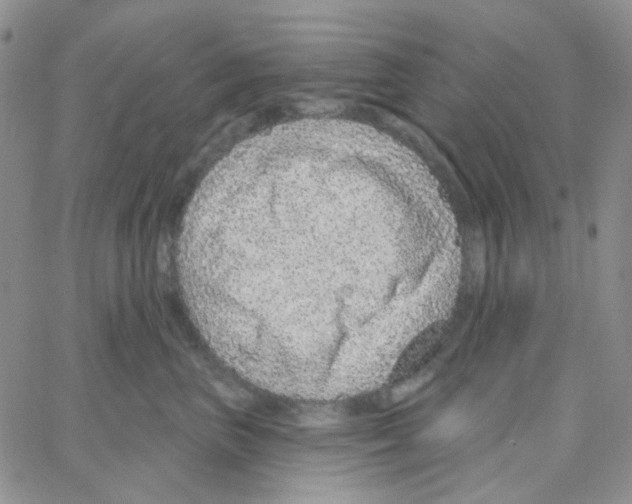 X0000064760667200603131410