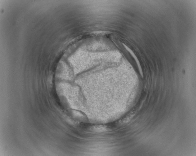 X0000064760668200603131410